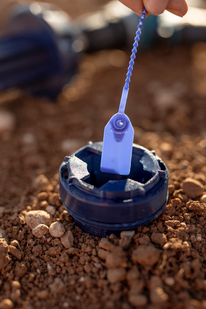 Spyke Medium Box (11 pcs)