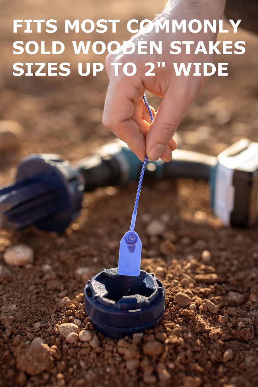 Spyke Medium Box (11 pcs)